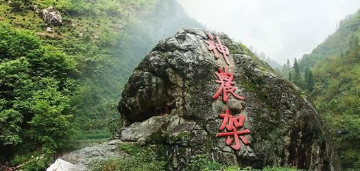 逃离龙的圣地